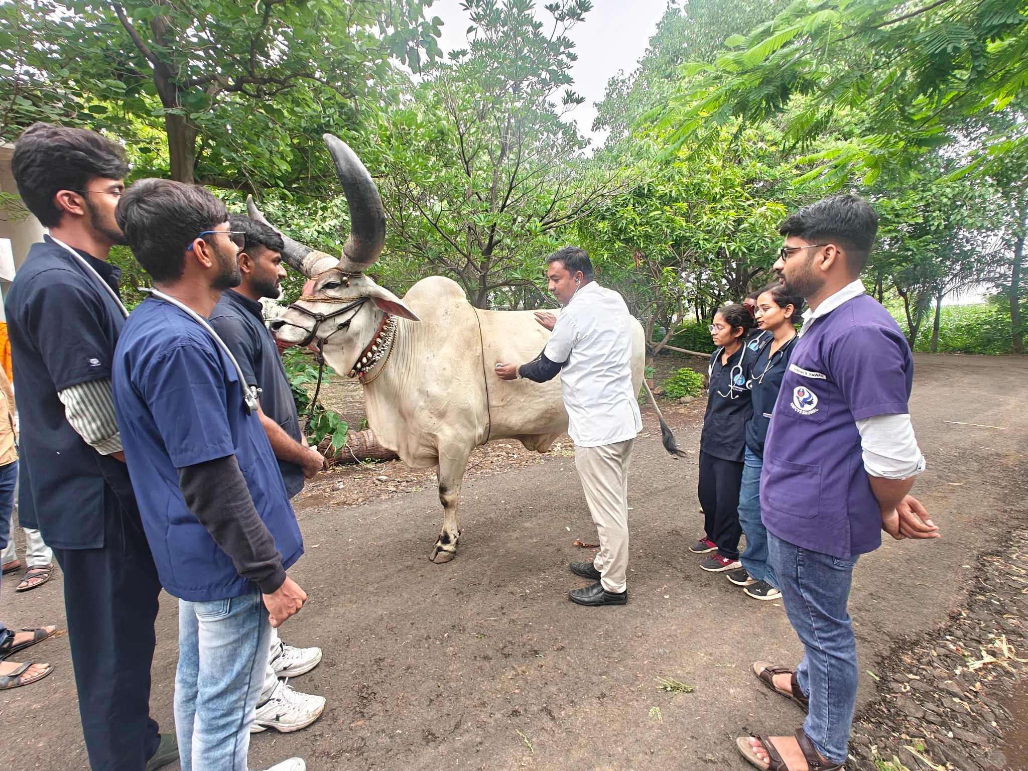 Medicine Veterinary Clinical Complex OPD Ward0